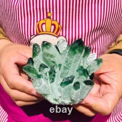 3.68LB 4pcs New find green Phantom Quartz Crystal Cluster mineral samples heals