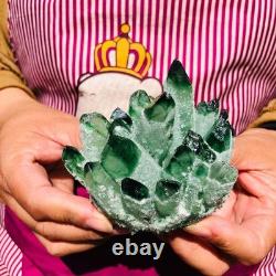 3.68LB 4pcs New find green Phantom Quartz Crystal Cluster mineral samples heals