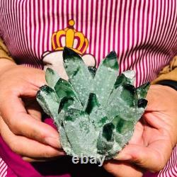 3.68LB 4pcs New find green Phantom Quartz Crystal Cluster mineral samples heals