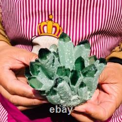 3.68LB 4pcs New find green Phantom Quartz Crystal Cluster mineral samples heals