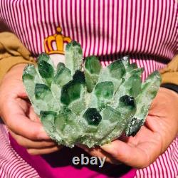 3.88LB 4pcs New find green Phantom Quartz Crystal Cluster mineral samples heals