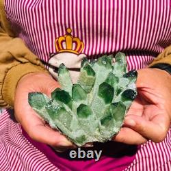 3.88LB 4pcs New find green Phantom Quartz Crystal Cluster mineral samples heals