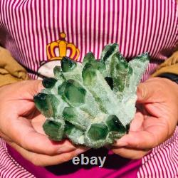3.88LB 4pcs New find green Phantom Quartz Crystal Cluster mineral samples heals