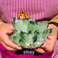 3.88LB 4pcs New find green Phantom Quartz Crystal Cluster mineral samples heals