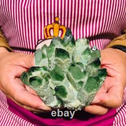 3.88LB 4pcs New find green Phantom Quartz Crystal Cluster mineral samples heals