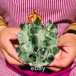 3.88LB 4pcs New find green Phantom Quartz Crystal Cluster mineral samples heals