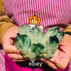 3.88LB 4pcs New find green Phantom Quartz Crystal Cluster mineral samples heals