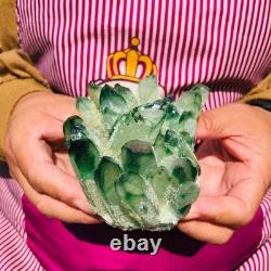 3.88LB 4pcs New find green Phantom Quartz Crystal Cluster mineral samples heals