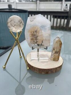 3-pc Natural Clear Dendritic Quartz Crystal. Display