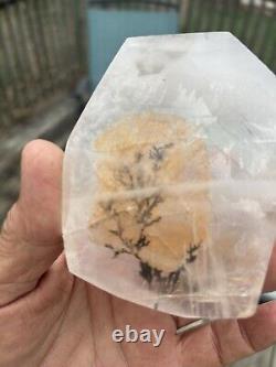 3-pc Natural Clear Dendritic Quartz Crystal. Display