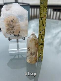 3-pc Natural Clear Dendritic Quartz Crystal. Display