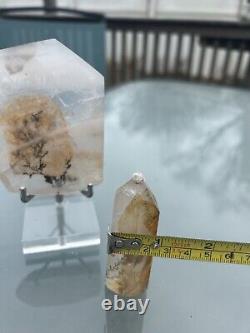3-pc Natural Clear Dendritic Quartz Crystal. Display