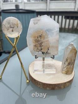 3-pc Natural Clear Dendritic Quartz Crystal. Display