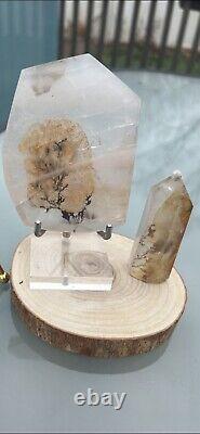 3-pc Natural Clear Dendritic Quartz Crystal. Display