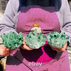3pieces 4.55LB New Find green PhantomQuartz Crystal Cluster MineralSpecimen 712