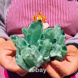 3pieces 4.55LB New Find green PhantomQuartz Crystal Cluster MineralSpecimen 712
