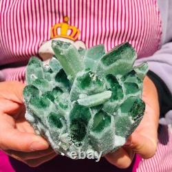 3pieces 4.55LB New Find green PhantomQuartz Crystal Cluster MineralSpecimen 712
