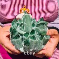 3pieces 4.55LB New Find green PhantomQuartz Crystal Cluster MineralSpecimen 712