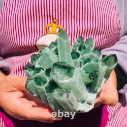 3pieces 4.55LB New Find green PhantomQuartz Crystal Cluster MineralSpecimen 712