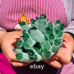 3pieces 4.55LB New Find green PhantomQuartz Crystal Cluster MineralSpecimen 712