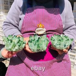 3pieces 5.28LB New Find green PhantomQuartz Crystal Cluster MineralSpecimen 711
