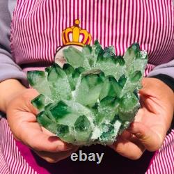 3pieces 5.28LB New Find green PhantomQuartz Crystal Cluster MineralSpecimen 711