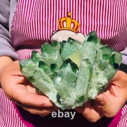 3pieces 5.28LB New Find green PhantomQuartz Crystal Cluster MineralSpecimen 711