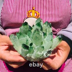 3pieces 5.28LB New Find green PhantomQuartz Crystal Cluster MineralSpecimen 711