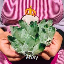 3pieces 5.28LB New Find green PhantomQuartz Crystal Cluster MineralSpecimen 711