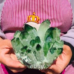 3pieces 5.28LB New Find green PhantomQuartz Crystal Cluster MineralSpecimen 711
