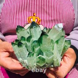 3pieces 5.28LB New Find green PhantomQuartz Crystal Cluster MineralSpecimen 711