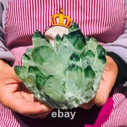 3pieces 5.28LB New Find green PhantomQuartz Crystal Cluster MineralSpecimen 711