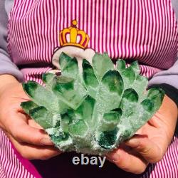 3pieces 5.28LB New Find green PhantomQuartz Crystal Cluster MineralSpecimen 711