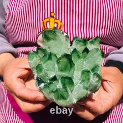 3pieces 5.28LB New Find green PhantomQuartz Crystal Cluster MineralSpecimen 711