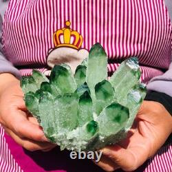 3pieces 5.28LB New Find green PhantomQuartz Crystal Cluster MineralSpecimen 711