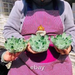 3pieces 5.28LB New Find green PhantomQuartz Crystal Cluster MineralSpecimen 711