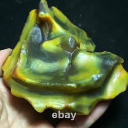 401g Bonsai Suiseki-Natural Gobi Agate Eyes Stone Rare & Stunning Piece