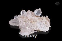 467g Gorgeous Point Cluster Quartz Pink Samadhi Quartz Meditation For Home Décor