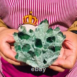 4.05LB 4pcs New find green Phantom Quartz Crystal Cluster mineral samples heals