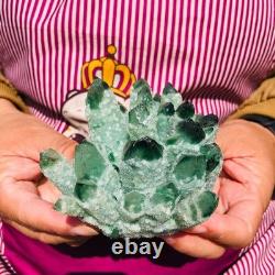 4.05LB 4pcs New find green Phantom Quartz Crystal Cluster mineral samples heals