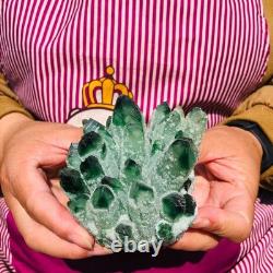 4.05LB 4pcs New find green Phantom Quartz Crystal Cluster mineral samples heals