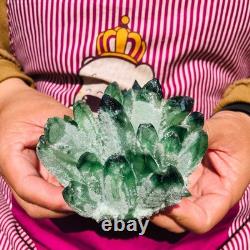 4.05LB 4pcs New find green Phantom Quartz Crystal Cluster mineral samples heals