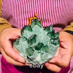 4.05LB 4pcs New find green Phantom Quartz Crystal Cluster mineral samples heals