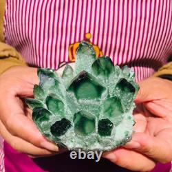 4.05LB 4pcs New find green Phantom Quartz Crystal Cluster mineral samples heals