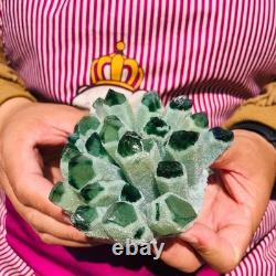 4.05LB 4pcs New find green Phantom Quartz Crystal Cluster mineral samples heals