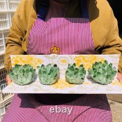 4 pieces 3.3LB Rare Twinkling Green Phantom Quartz Crystal Cluster Specimen 1828