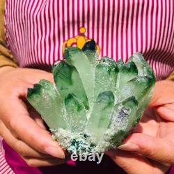 4 pieces 3.3LB Rare Twinkling Green Phantom Quartz Crystal Cluster Specimen 1828