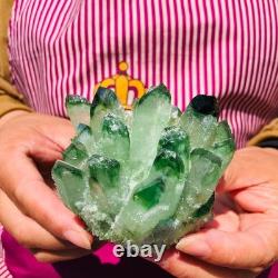 4 pieces 3.3LB Rare Twinkling Green Phantom Quartz Crystal Cluster Specimen 1828