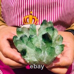 4 pieces 3.3LB Rare Twinkling Green Phantom Quartz Crystal Cluster Specimen 1828