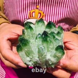 4 pieces 3.3LB Rare Twinkling Green Phantom Quartz Crystal Cluster Specimen 1828